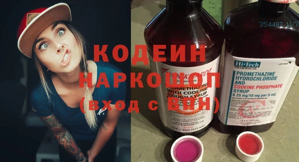 индика Волосово