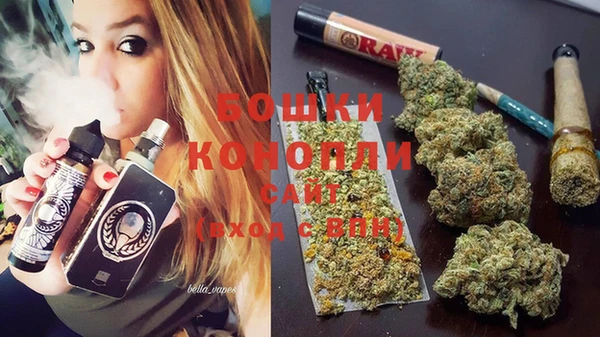 молекула духа Белая Холуница